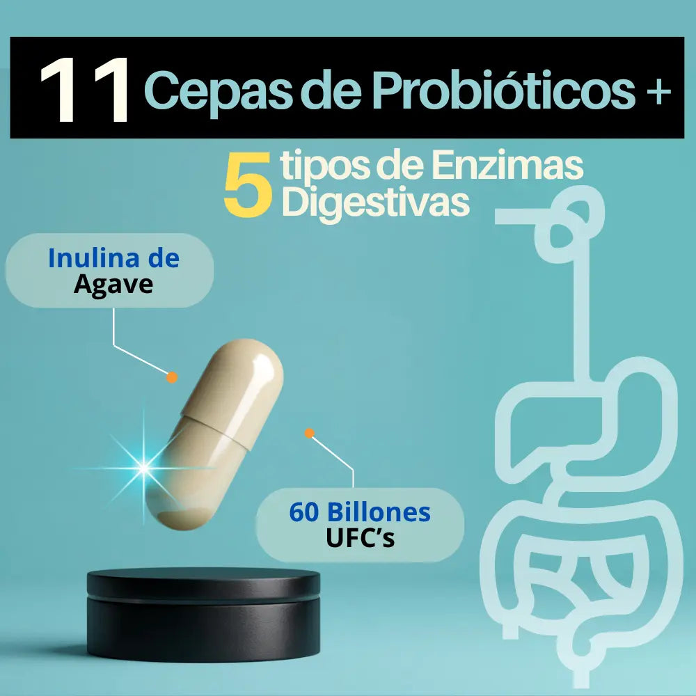 ultra_probioticos_con_0_billones_de_UFC_cepas_bacterias_lactobacillus_Bifidobacterium_soporte_digestion_siste_inmune_con_enzimas_digestivas_bromelina_papaina_lactasa_proteasa_fibra__capsula