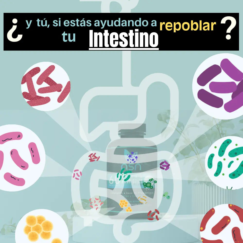 ultra_probioticos_con_0_billones_de_UFC_cepas_bacterias_lactobacillus_Bifidobacterium_soporte_digestion_siste_inmune_con_enzimas_digestivas_bromelina_papaina_lactasa_proteasa_fibra_repoblar_intestino