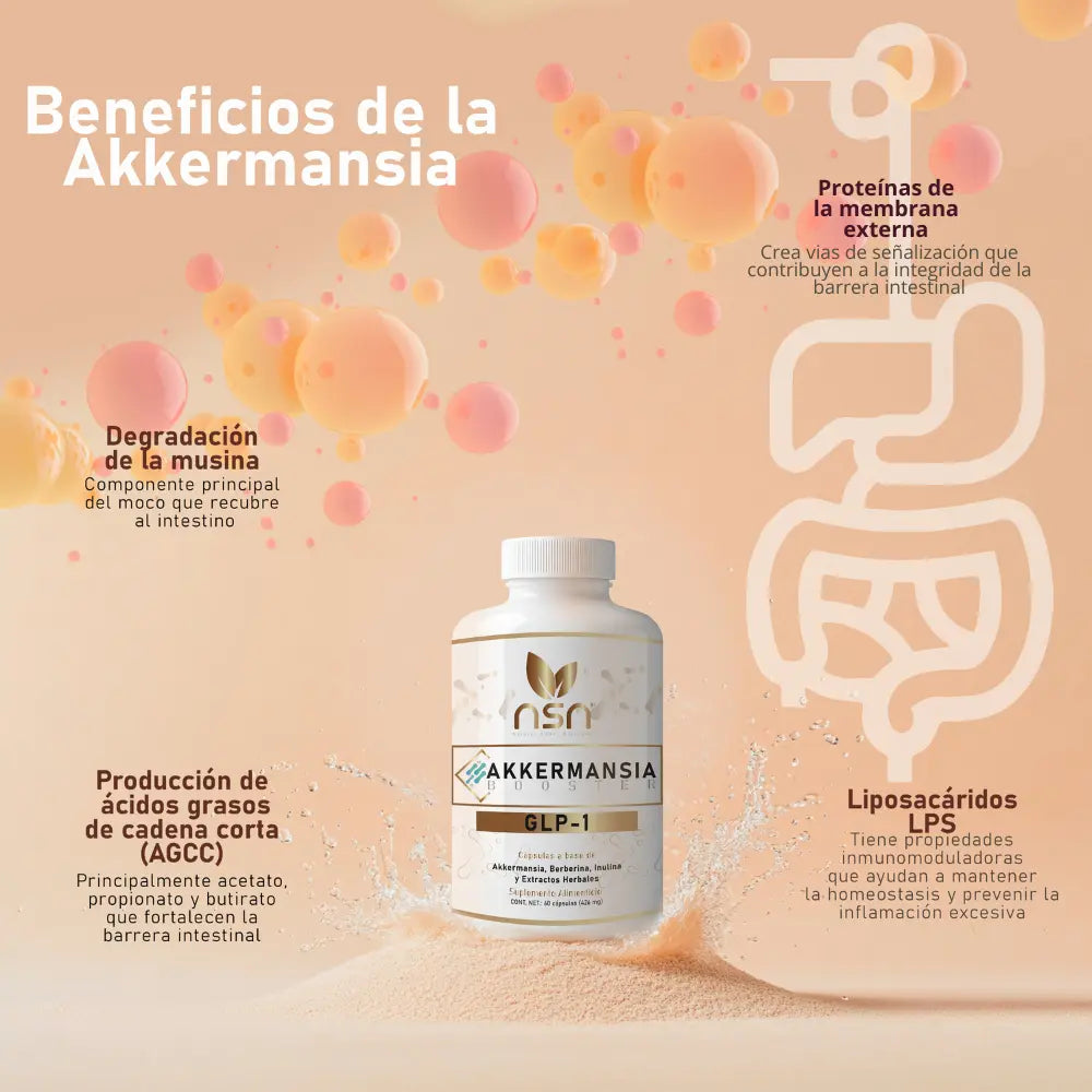 akkermansia_muciniphila_GLP-1_booster_para_control_hambre_apetito_metabolismo_con_berberina_piperina_saciedad_suplemento_alimenticio_probioticos_intestino_beneficios