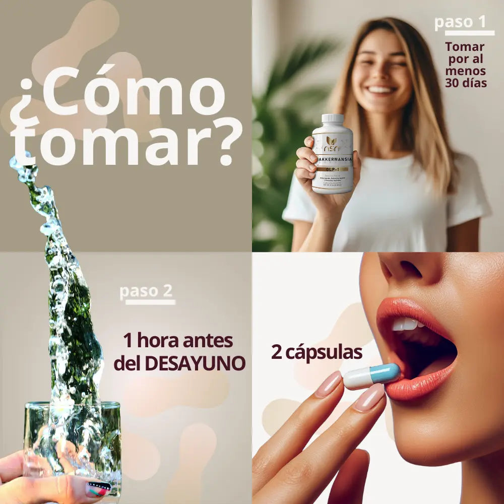 akkermansia_muciniphila_GLP-1_booster_para_control_hambre_apetito_metabolismo_con_berberina_piperina_saciedad_suplemento_alimenticio_probioticos_intestino_como_tomar