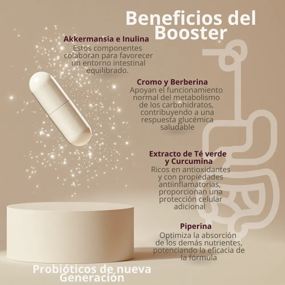 akkermansia_muciniphila_GLP-1_booster_para_control_hambre_apetito_metabolismo_con_berberina_piperina_saciedad_suplemento_alimenticio_probioticos_intestino_beneficios_glp_booster