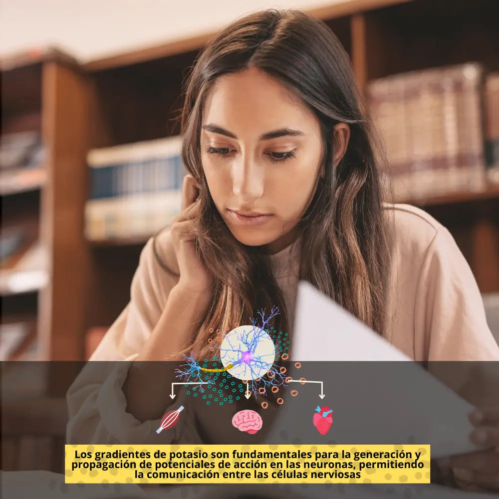 Citrato de Potasio | Con Pulpa de Plátano NSN Natural Smart Nutrition