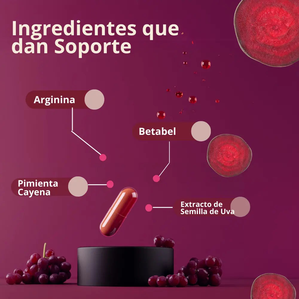 Dynamic Circulation | Circulación Sanguínea NSN Natural Smart Nutrition