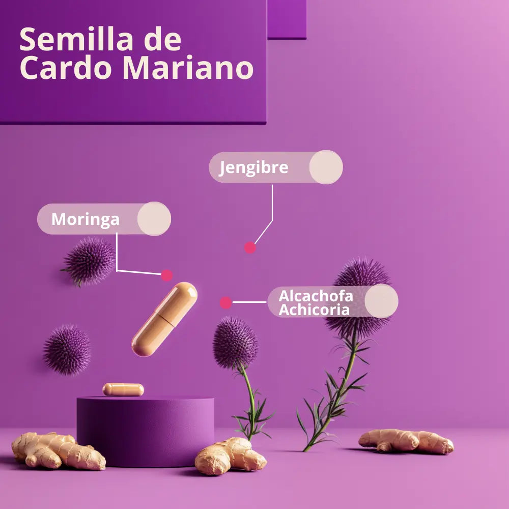 milk_thistle_cardo_mariano_mirnga_salud_hepatica_higado_cirrosis_graso_suplemento_alimenticio_capsula