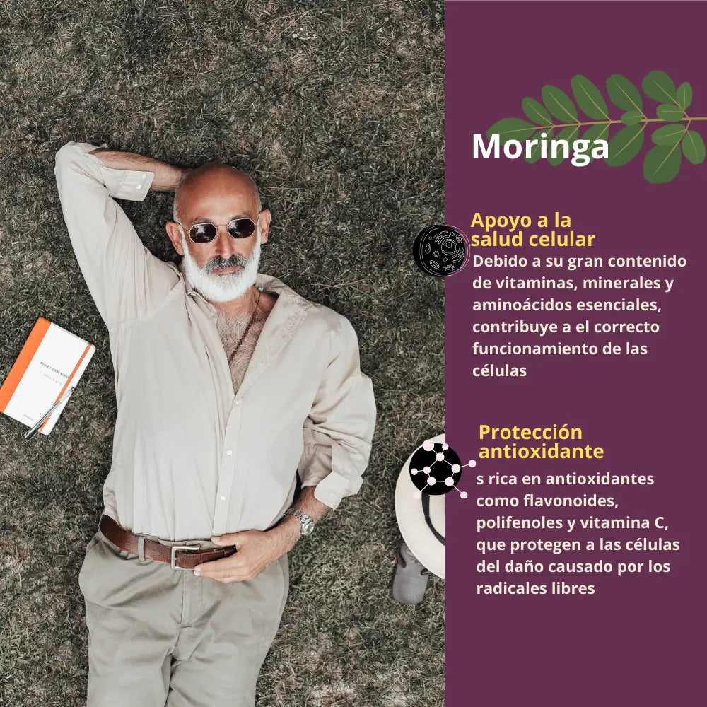 milk_thistle_cardo_mariano_mirnga_salud_hepatica_higado_cirrosis_graso_suplemento_alimenticio_capsula_beneficios_moringa