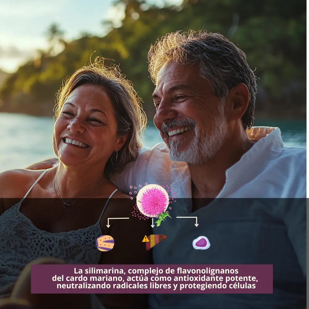 Milk Thistle | Cardo Mariano | Salud hepática NSN milk_thistle_cardo_mariano_mirnga_salud_hepatica_higado_cirrosis_graso_suplemento_alimenticio_capsula_para_adultos
