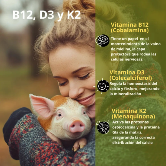 Omegas_3_6_9_aceite_de_linaza_dieta_vegana_vegetariana_con_vitamina_B12_suplemento_alimenticio_veganos_amigable