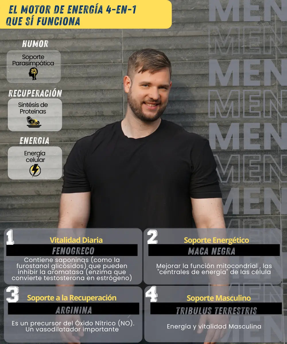 Precursor de Testosterona | Mens Vigor