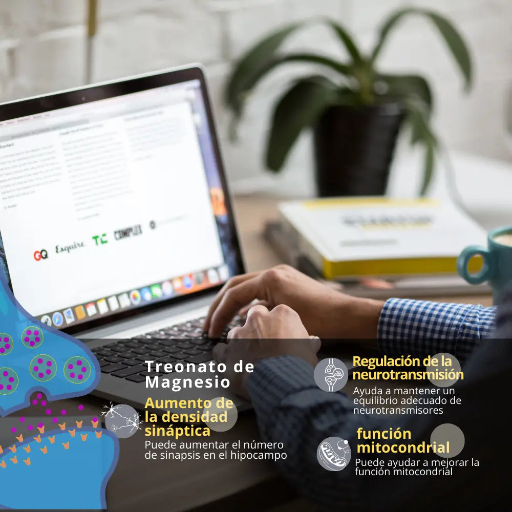 treonato_de_magnesio_para_cerebro_enfoque_memoria_concentracion_trabajo_oficina
