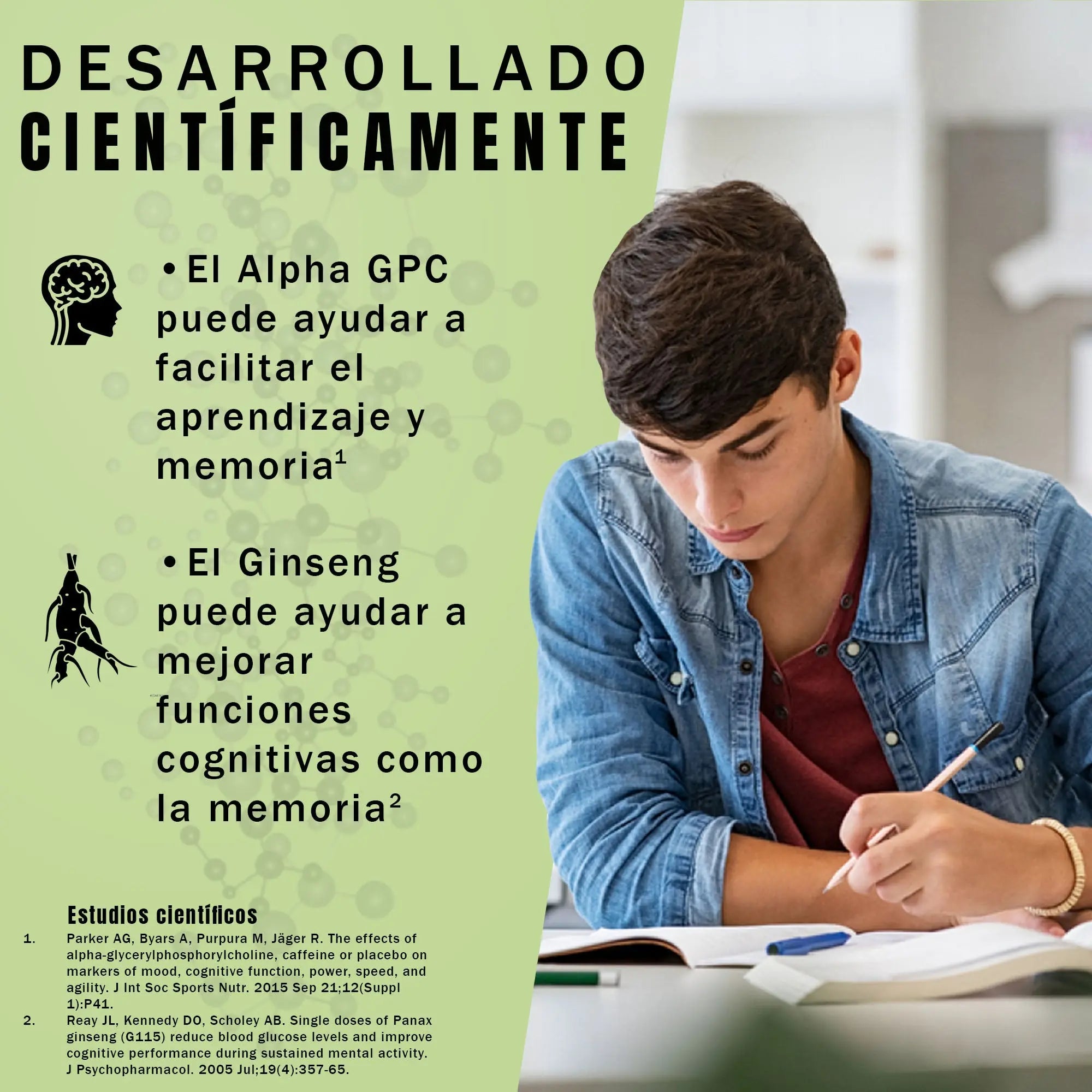 nootropico-vitaminas-para-el-cerebro-beneficios