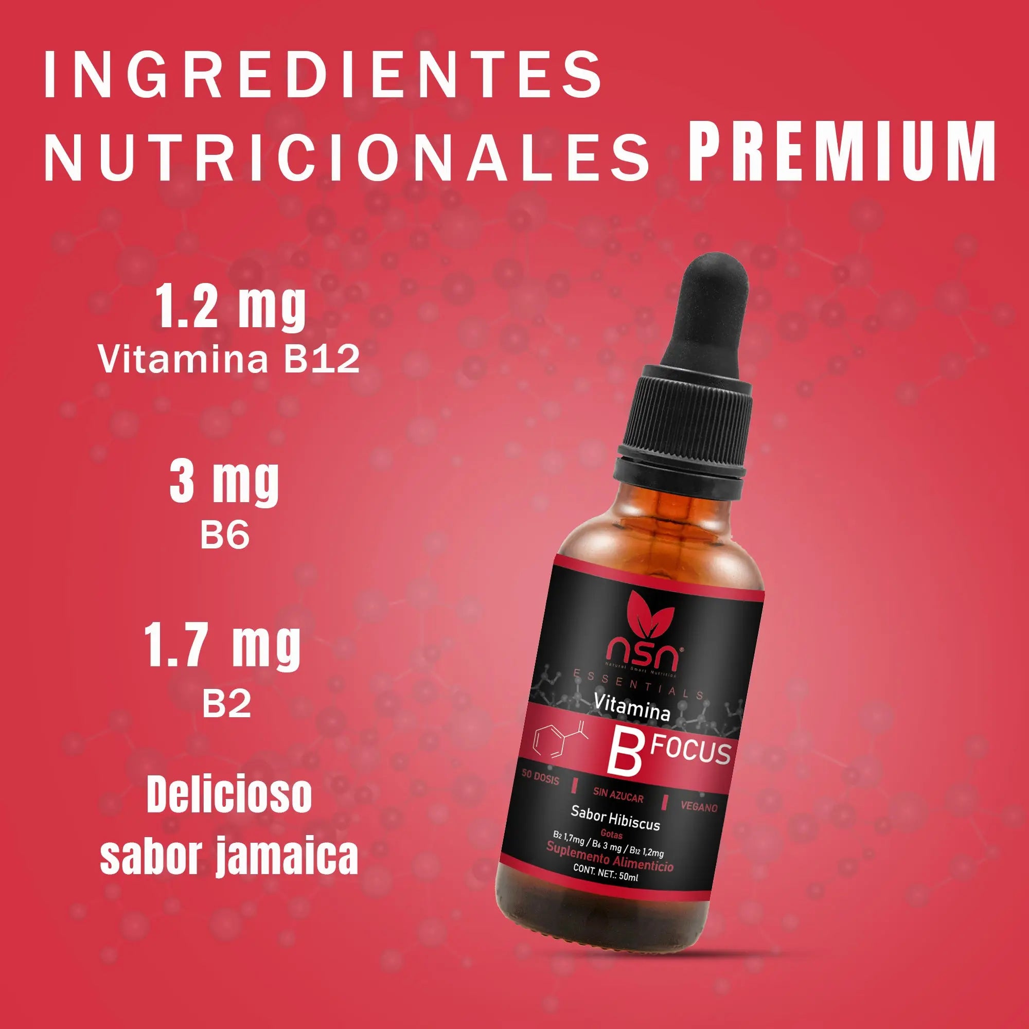 VITAMINA B FOCUS | SABOR HIBISCOS NSN Natural Smart Nutrition