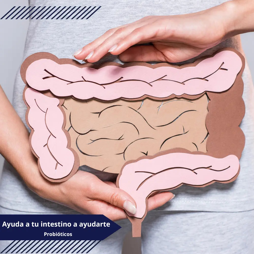 Ayuda a tu intestino a ayudarte - Probióticos - NSN