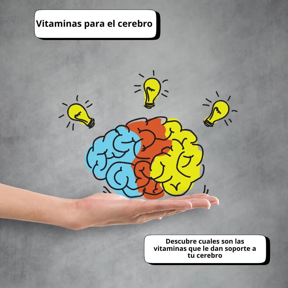Vitaminas para el cerebro - Descubre cuales son las vitaminas que le dan soporte a tu cerebro - NSN