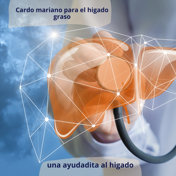 Cardo Mariano para el Hígado graso - Una ayudadita al hígado
