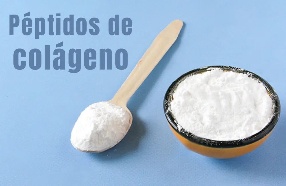 ¿Qué son los péptidos de colágeno? - NSN