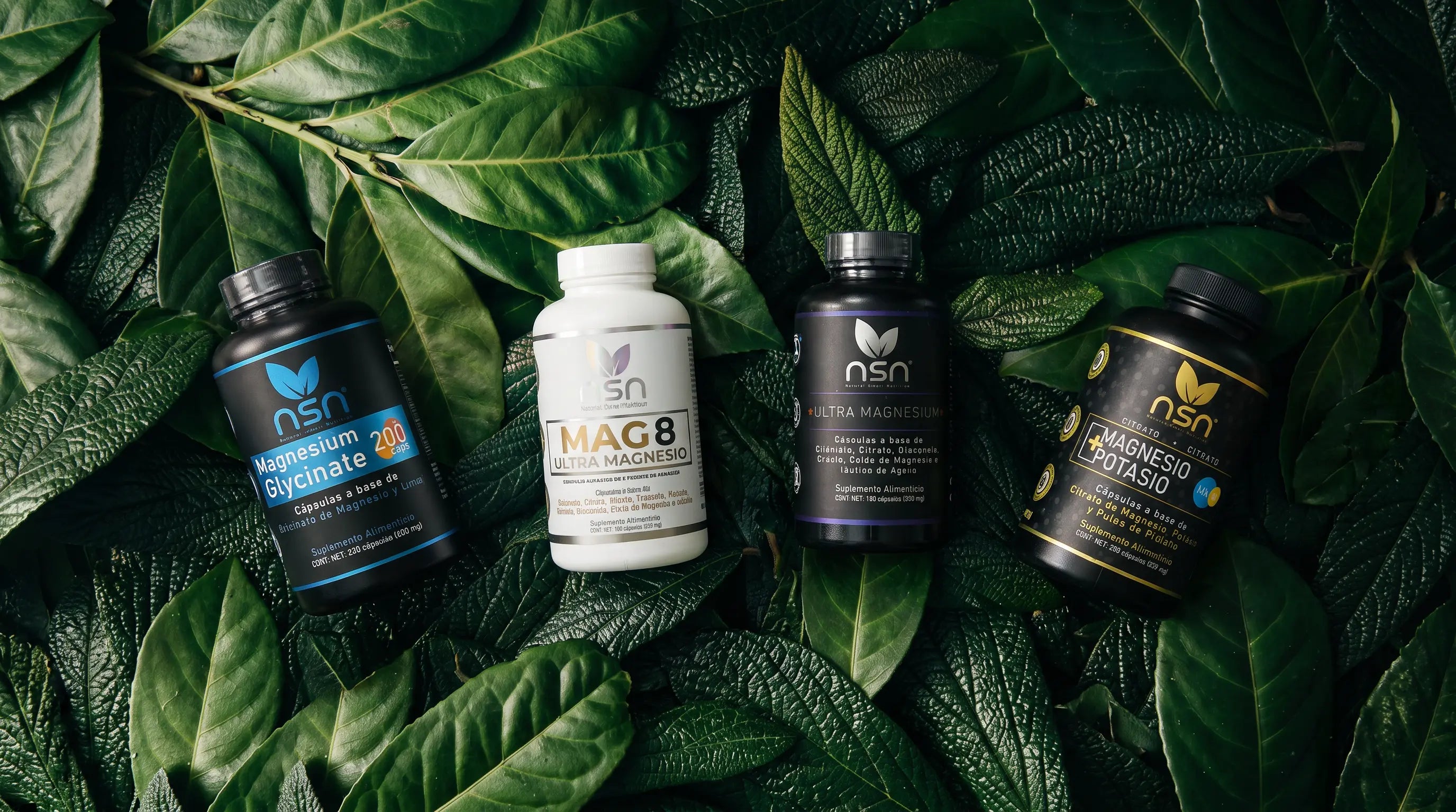 Magnesios: suplementos de magnesio