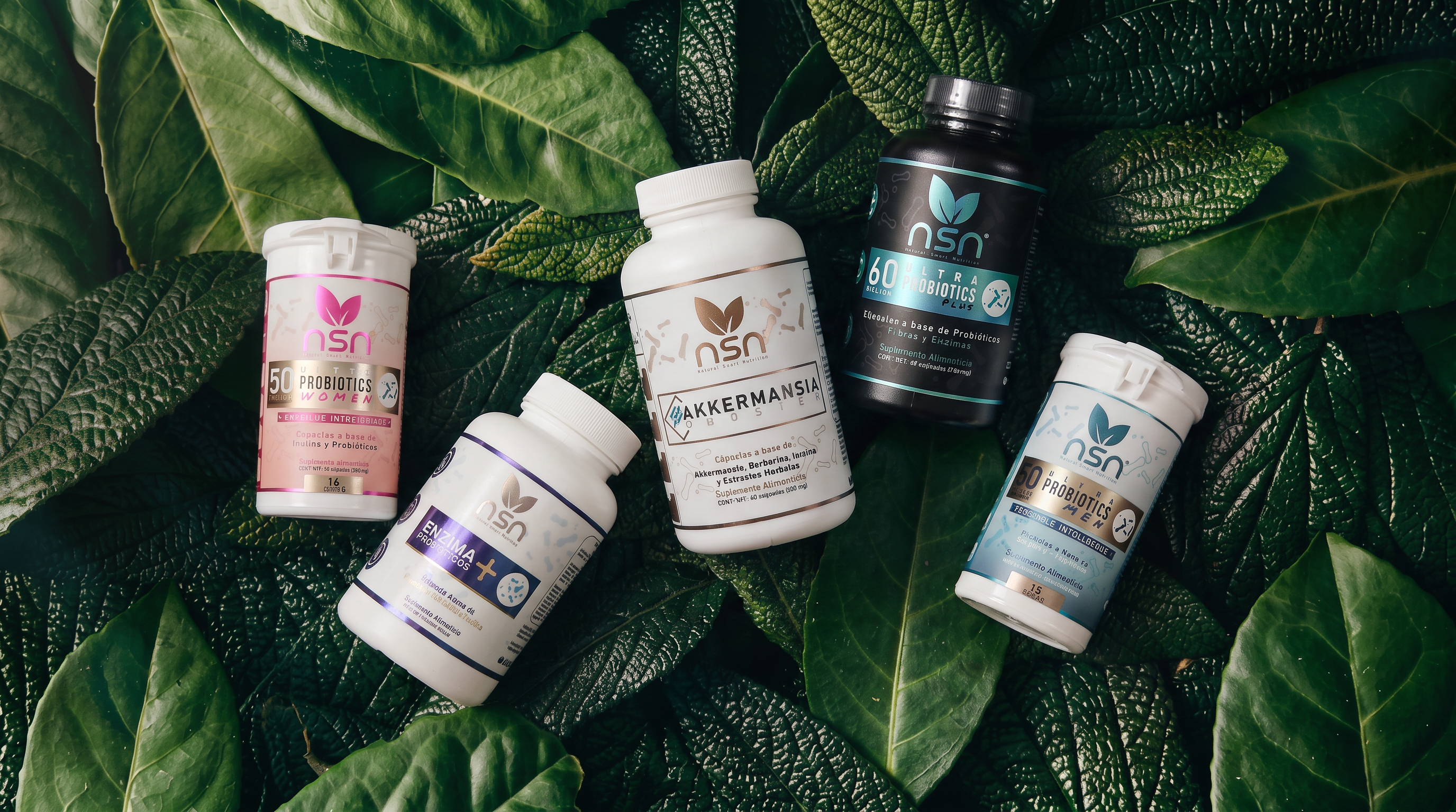 Probióticos PREMIUM para Digestión Óptima | NSN México