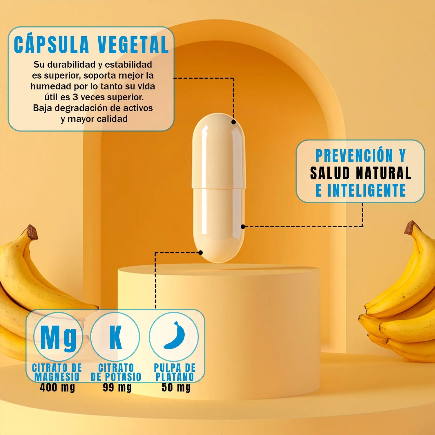 Capsula_vegetal_citrato_de_magnesio_potasio_quelado_con extractos_herbales_nsn_natural_smart_nutrition