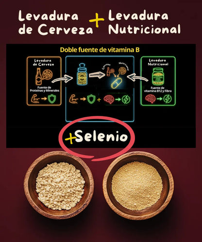 Complejo B con Selenio  |  B yeast