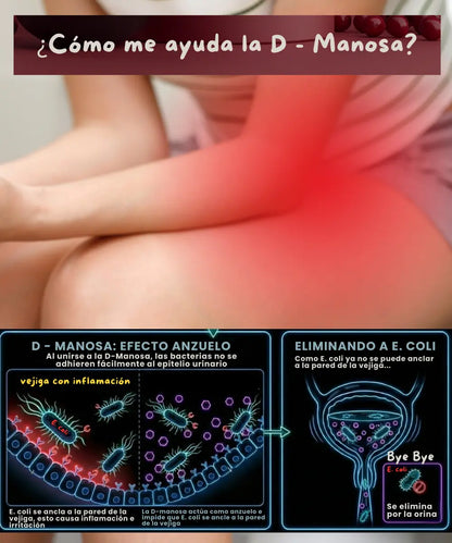 Extracto de arandano | Urinary Blend | Cistitis NSN Natural Smart Nutrition