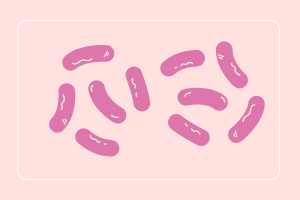 ultra_probiotics_women_50_billones_de_probioticos_liofilizados_natural_smart_nutrition_frine_velazquez_empaque_inteligente_cuidado_femenino_l_acidophilus