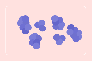 ultra_probiotics_women_50_billones_de_probioticos_liofilizados_natural_smart_nutrition_frine_velazquez_empaque_inteligente_cuidado_femenino_l_fermentum