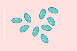 ultra_probiotics_women_50_billones_de_probioticos_liofilizados_natural_smart_nutrition_frine_velazquez_empaque_inteligente_cuidado_femenino_l_gasseri