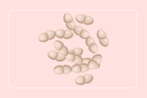 ultra_probiotics_women_50_billones_de_probioticos_liofilizados_natural_smart_nutrition_frine_velazquez_empaque_inteligente_cuidado_femenino_l_reuteri