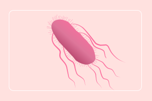 ultra_probiotics_women_50_billones_de_probioticos_liofilizados_natural_smart_nutrition_frine_velazquez_empaque_inteligente_cuidado_femenino_L_rhamnosus