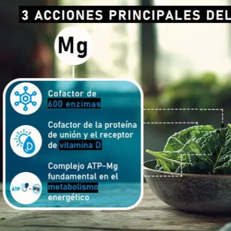 beneficios_del_magnesio_complex_citrato_gluconato_oxido_para_relajacion_dormir_energia_en_capsulas_nsn_natural_smartnutrition