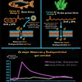 Omega 3 de Algas Marinas | DHA y EPA | 5 veces más Absorbible NSN Natural Smart Nutrition