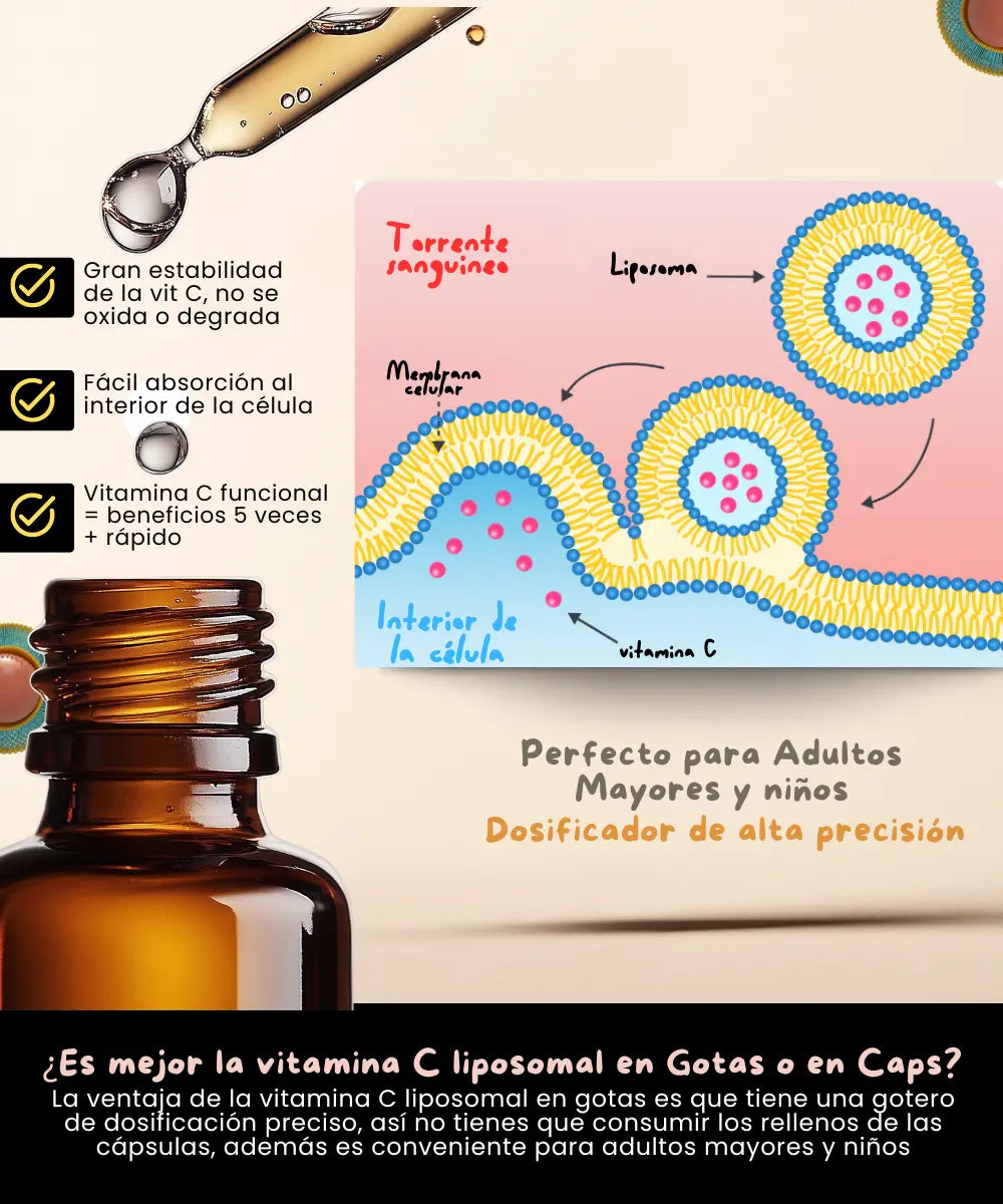 Vitamina C Liposomal