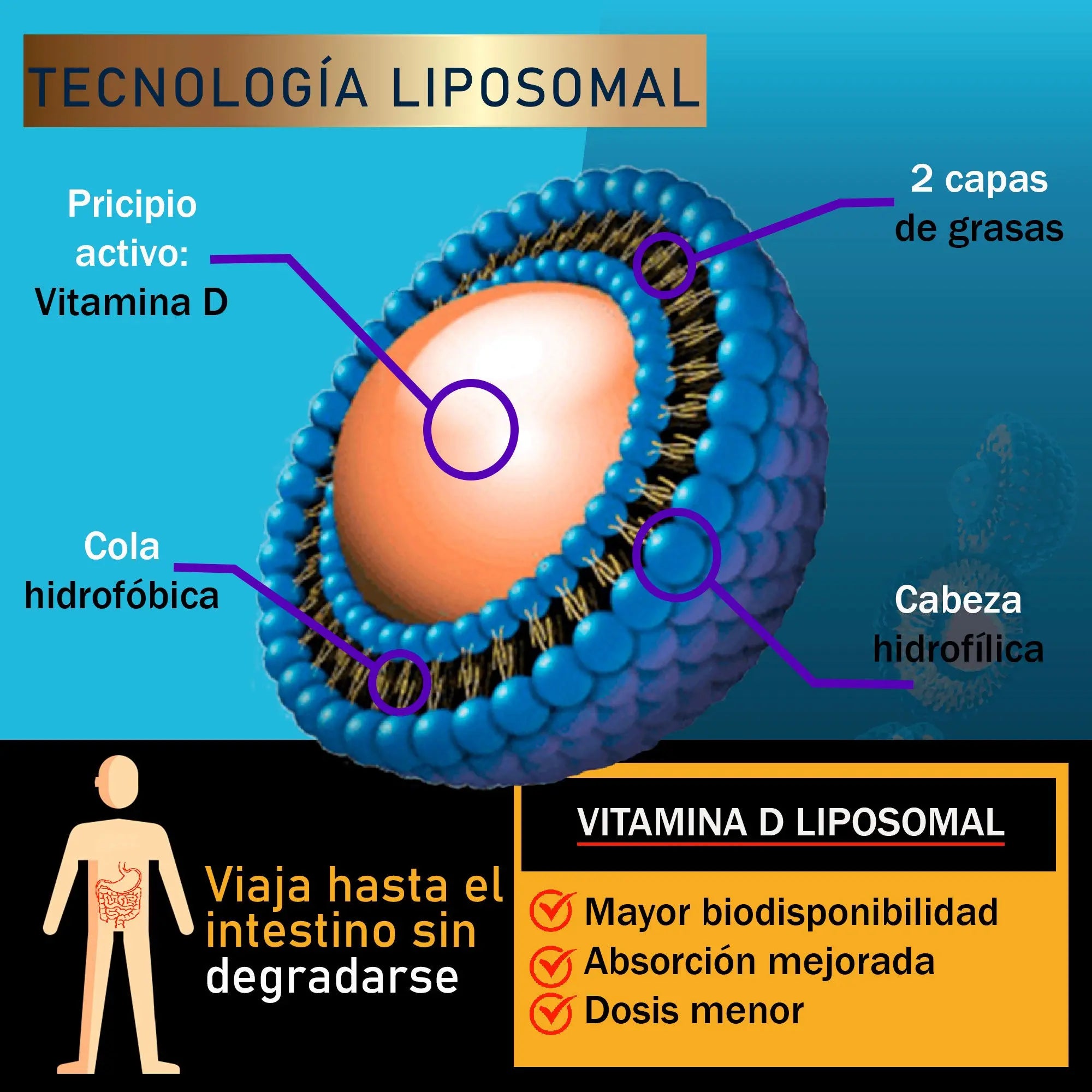 Vitamina D3 Liposomal en gotas| Nanotecnología 400 y 5000 UI NSN Natural Smart Nutrition