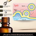 Vitamina D3 Liposomal en gotas| Nanotecnología 400 y 5000 UI NSN Natural Smart Nutrition