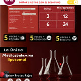 vitamina_b12_liposomal_metilcobalamina_5_veces_mas_biodisponible_nanotecnologia_sabor_frutos_rojos_tabla_nutrimental