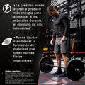 creatina_monohidratada_beneficios
